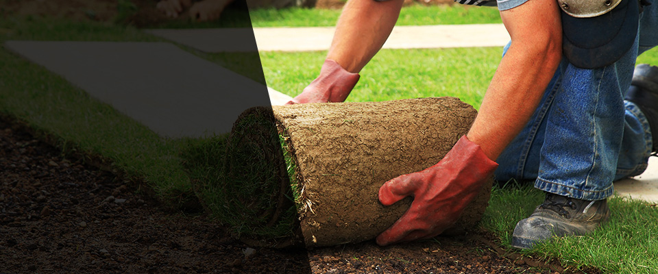 Stanfield Landscapers